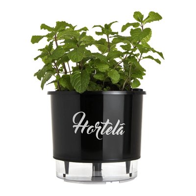 vaso gourmet temperos raiz hortela