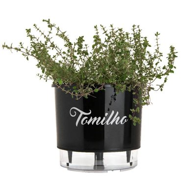 vaso tomilho raiz autoirrigavel
