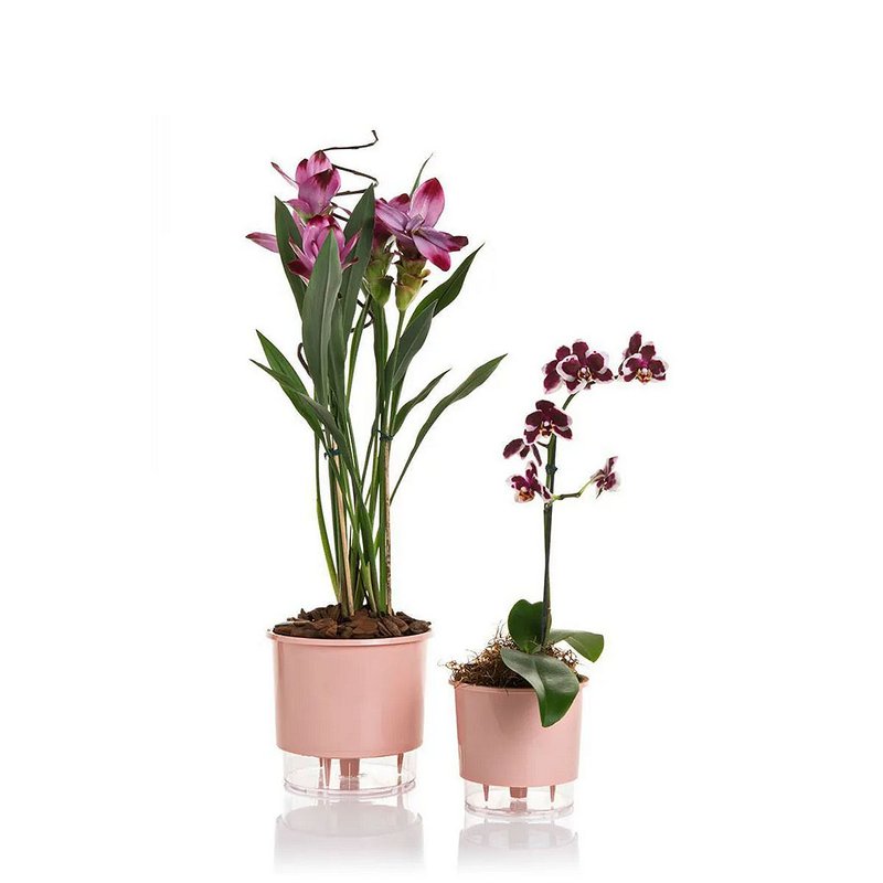 vaso autoirrigavel raiz color preto rosa gourmet 2
