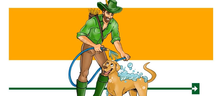 O shampoo certo para seu cachorro pode salvar o mundo