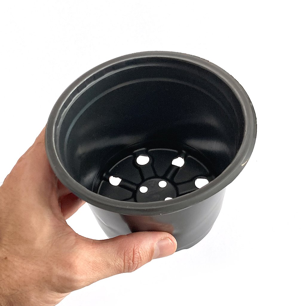 nutedv003 vasos para plantas ri gidos np14 pote preto holambra nutriplan arkuero 6