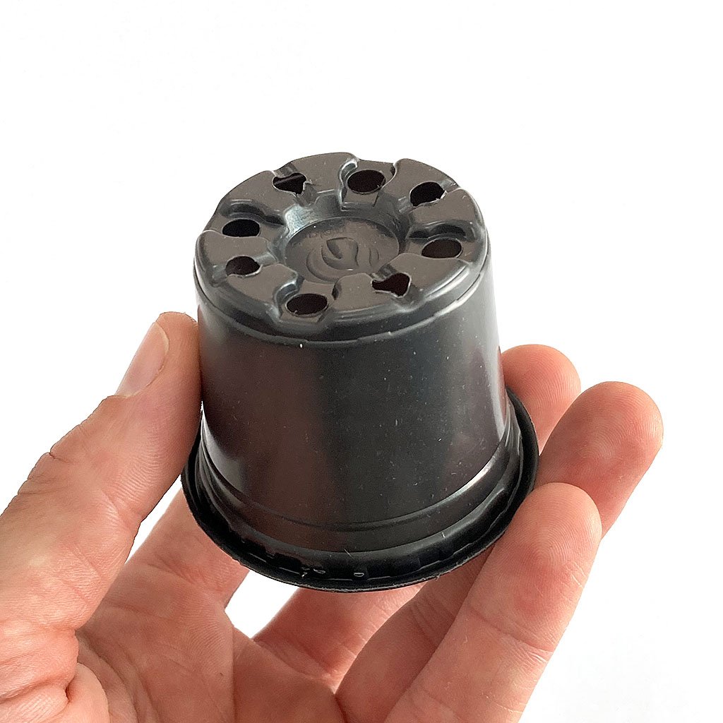 nutedv006 vasos para plantas ri gidos np06 pote preto holambra nutriplan arkuero 2