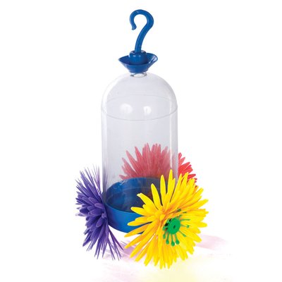 alvodv003 alvorada bebedouro beija flor pintainhos codornos comedouro caixa de transporte caes arkuero