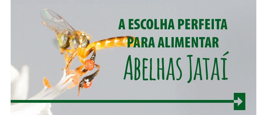 A Escolha Perfeita Para Alimentar Abelhas Jataís