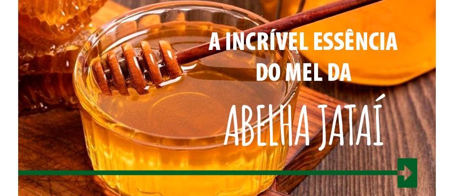 A Incrível Essência do Mel da Abelha Jataí